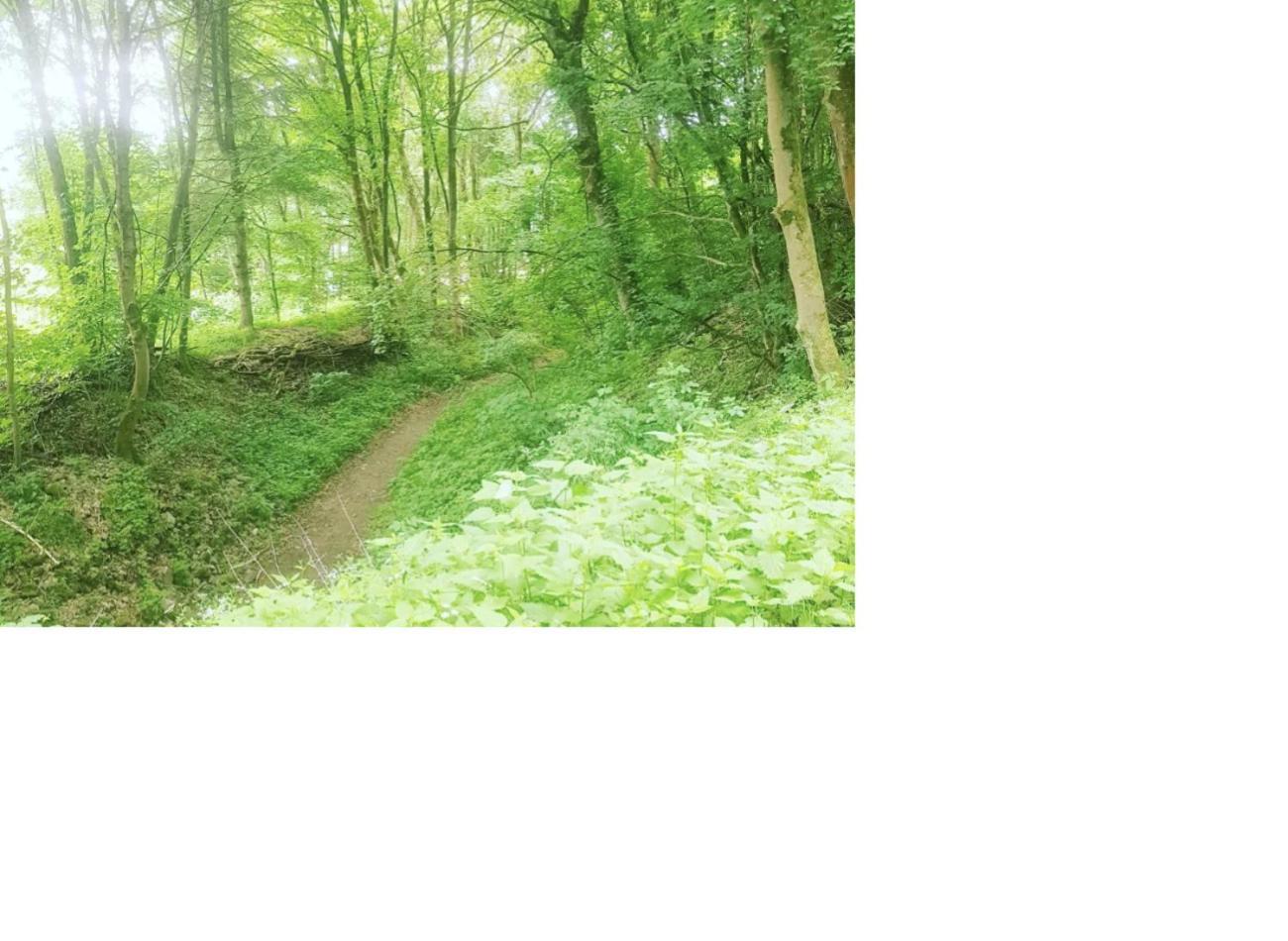 Natur Pur Frielendorf Экстерьер фото