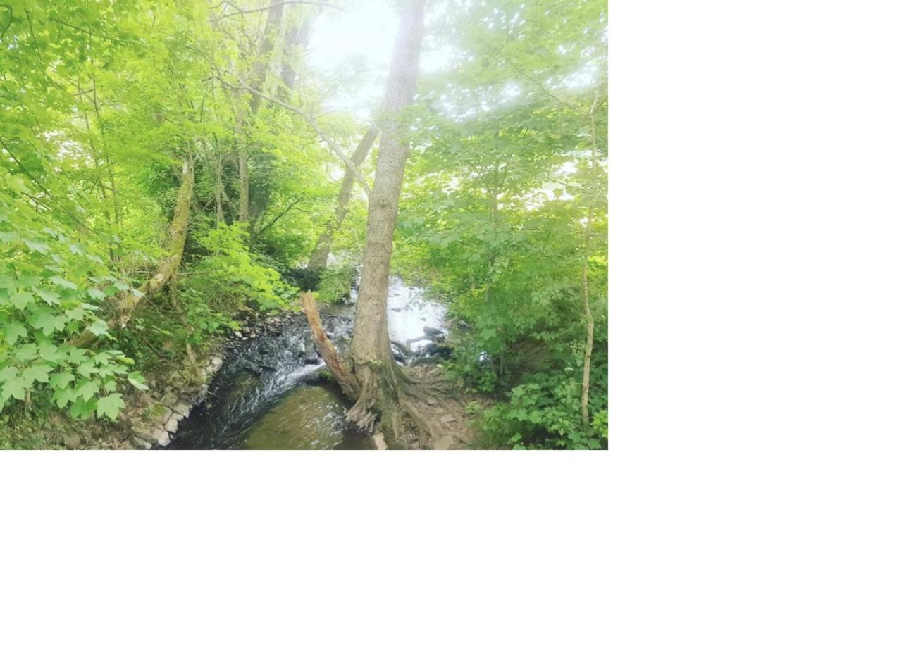 Natur Pur Frielendorf Экстерьер фото