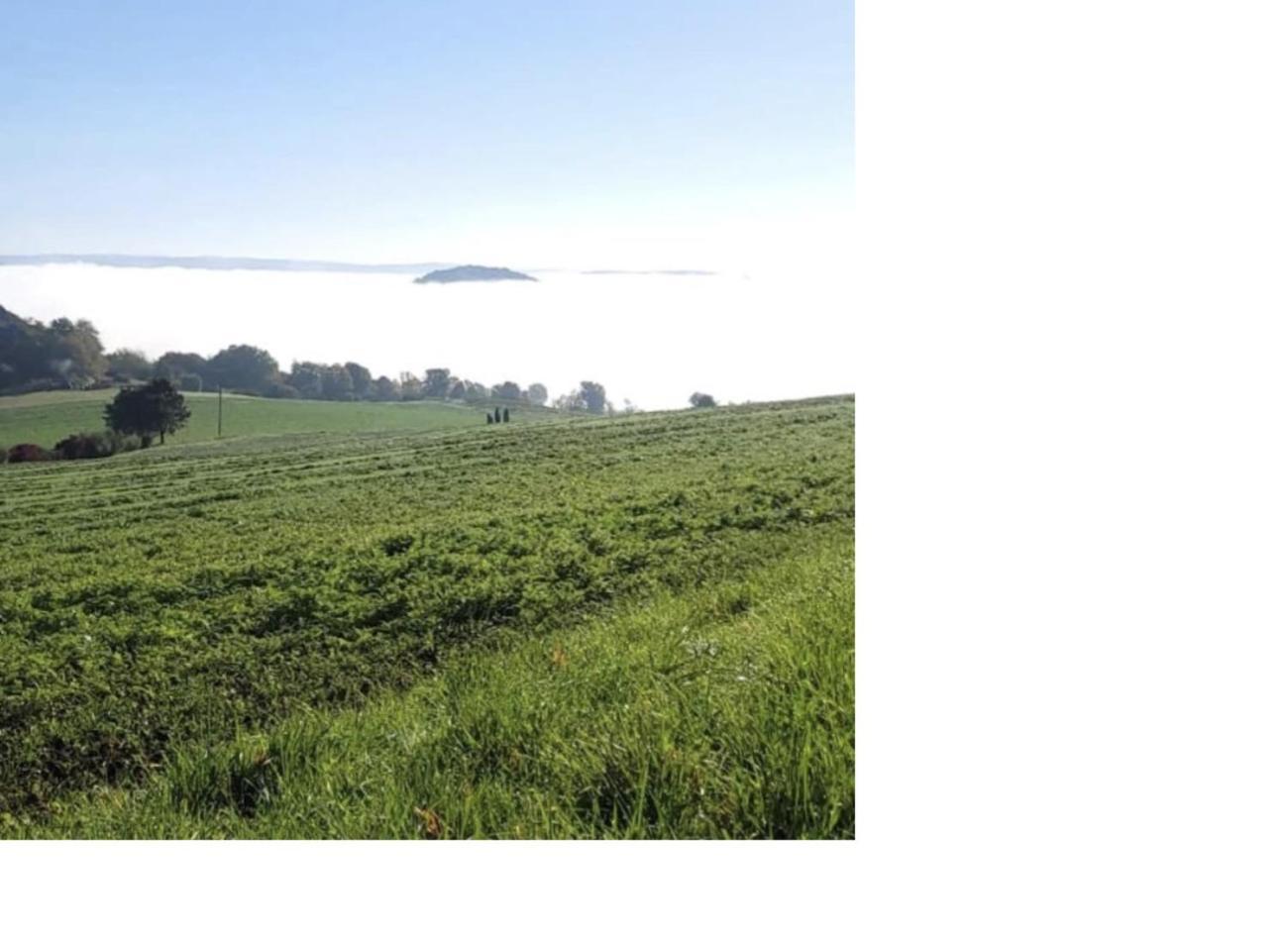 Natur Pur Frielendorf Экстерьер фото