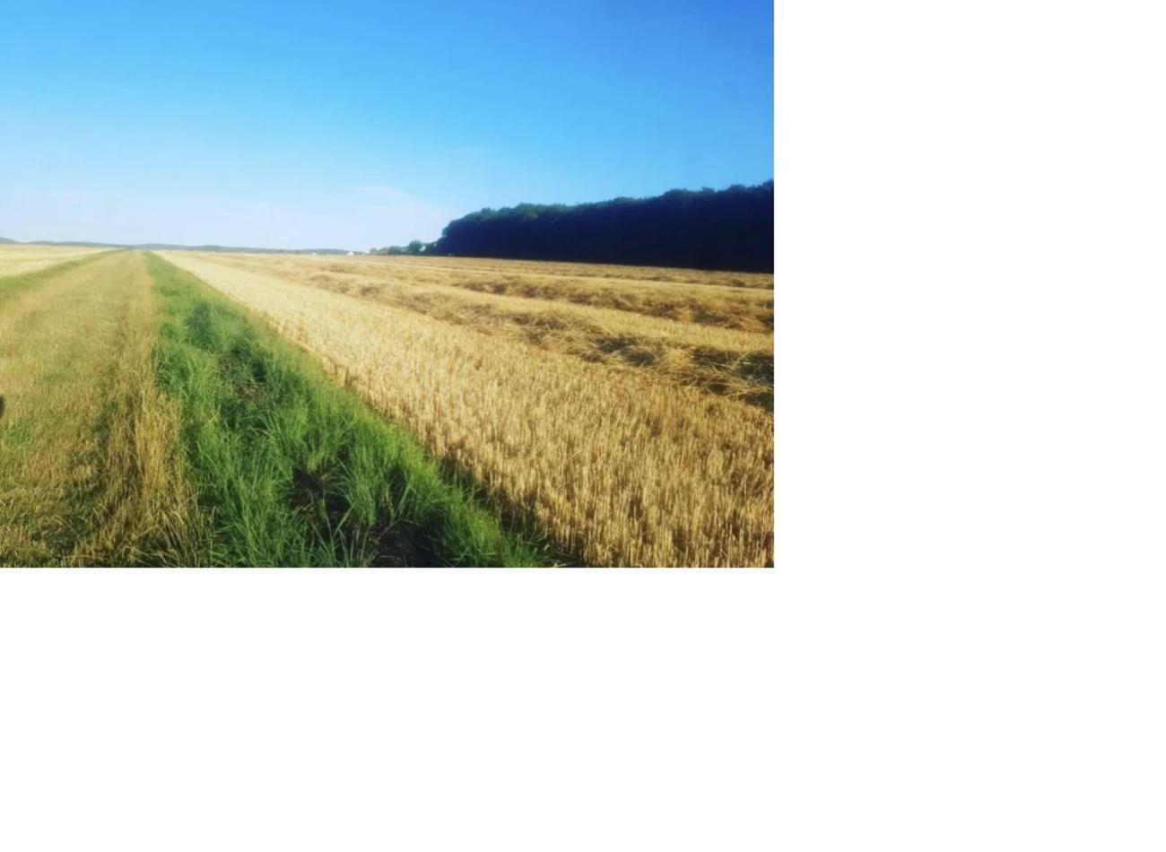 Natur Pur Frielendorf Экстерьер фото
